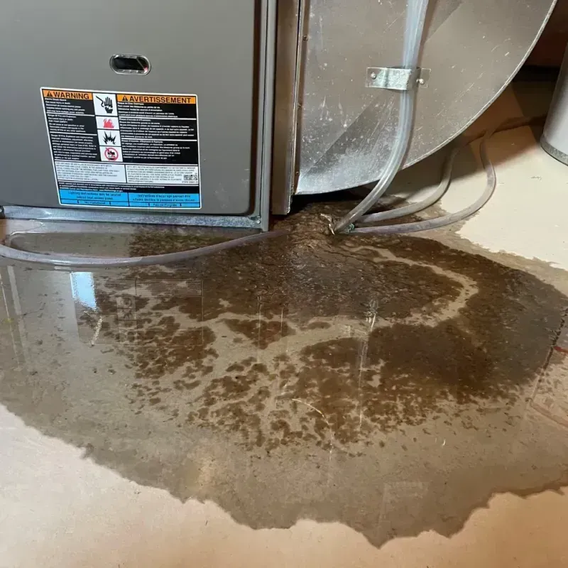 Appliance Leak Cleanup in Whitesboro, NJ